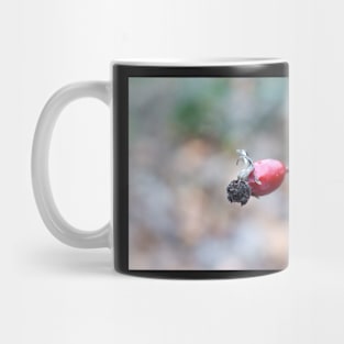 Wild Rose Fruit Mug